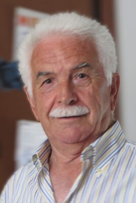 Luigi Artensi